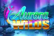 MICROGAMING slot