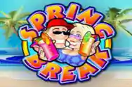 MICROGAMING slot