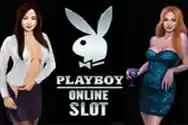 MICROGAMING slot