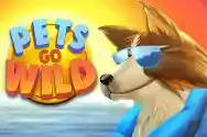 MICROGAMING slot